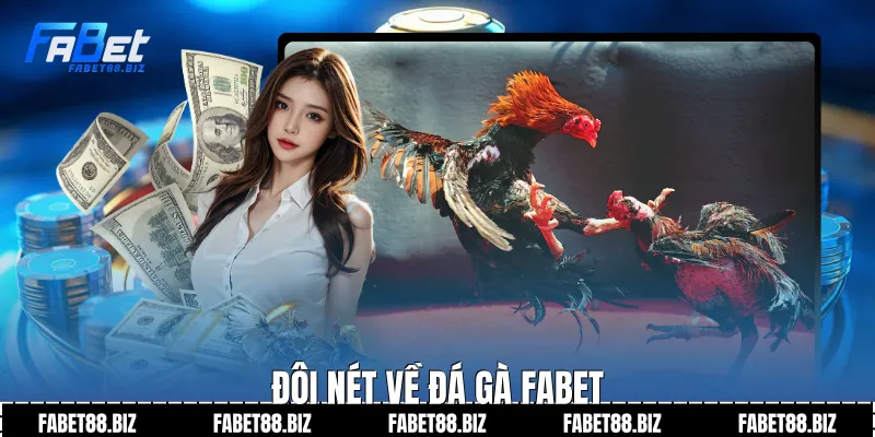 Đôi nét về đá gà fabet