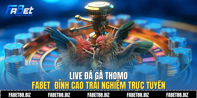 Live Đá Gà Thomo