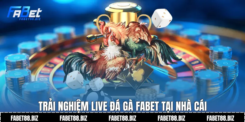 Trải nghiệm live đá gà fabet tại nhà cái