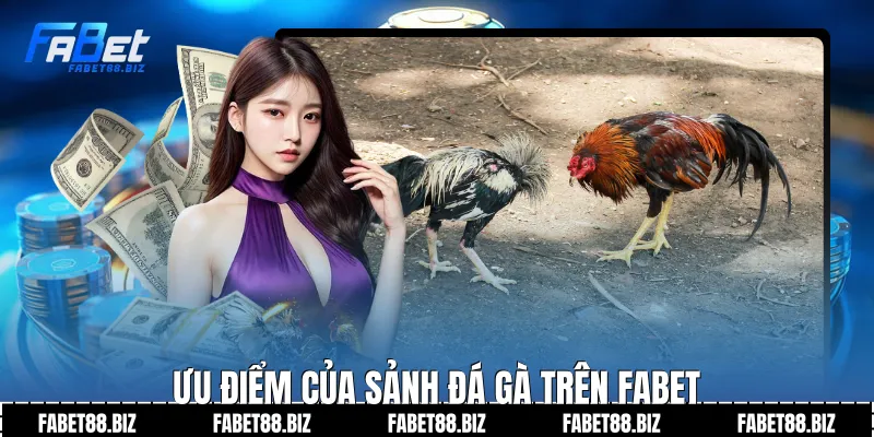 Ưu điểm của sảnh đá gà trên fabet